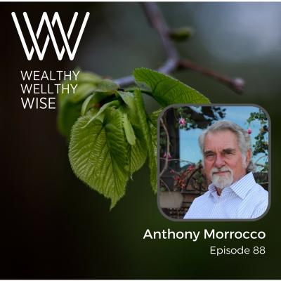 Wealthy Wellthy Wise | Millionaire Mindset Conversations With Counter-cultural Leaders. Grow Your Wealth Without Sacrificing