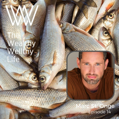 Wealthy Wellthy Wise | Millionaire Mindset Conversations With Counter-cultural Leaders. Grow Your Wealth Without Sacrificing
