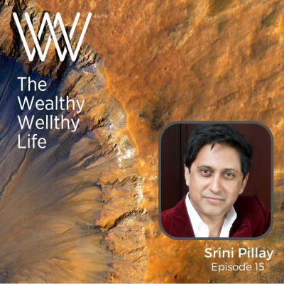 Wealthy Wellthy Wise | Millionaire Mindset Conversations With Counter-cultural Leaders. Grow Your Wealth Without Sacrificing