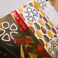 Episodio 5: Erika: Somos Cacao de El Zulia