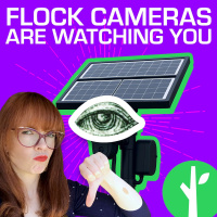 The Creepy Cameras On Every Corner