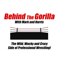 Episode 6: Brawl For All