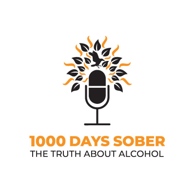 The Alcohol  Addiction Podcast