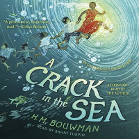 A Crack in the Sea Audiobook by H. M. Bouwman