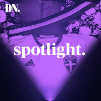 Hur kunde Brysselterroristen gå under radarn?