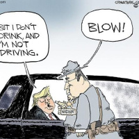 The Swansen Report - Sunday Observations
