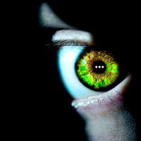 HORRIFYING STORIES IN FIVE SENTENCES OR LESS