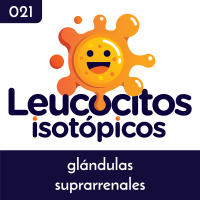 Glándulas suprarrenales