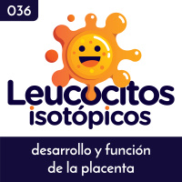 Desarrollo y función de la placenta