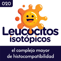 El complejo mayor de histotcompatibilidad
