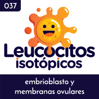 Embrioblasto y membranas ovulares