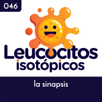La sinapsis