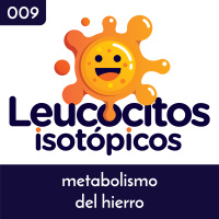 Metabolismo del hierro