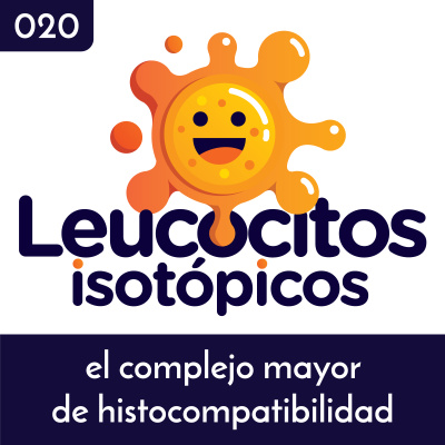 Leucocitos Isotópicos - El Podcast De Medicina