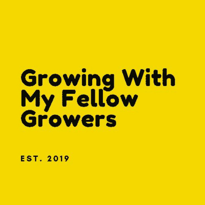 Cheap Home Grow. Lets Into The Weeds Of The Conversation