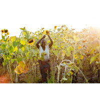 UNDP Zambia: Ukulima kupitia miundombinu inayostahimili mabadiliko ya tabianchi