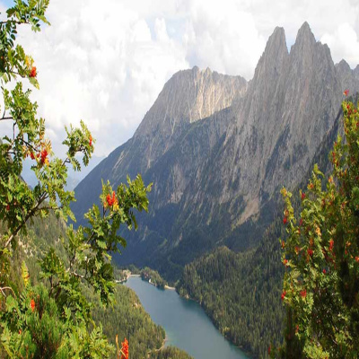 Rodaelmón