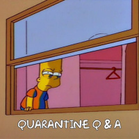 Quarantine Q  A (Part 2)