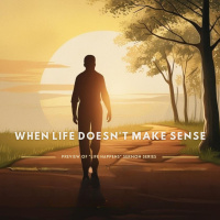 When Life Doesnt Make Sense (Josh Wade)