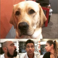 RYTHMOS 949 | THE MAPPES SHOW - ΕΒΔΟΜΑΔΑ 33 (08/10/2018 - 12/10/2018)