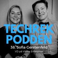 38. Sofia Gerstenfeld, VD på Visma Enterprise