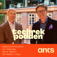 131. Organisationsstruktur och ledarskap med Henrik Gavelli - CEO Redpill Linpro