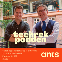 133. Skala upp utveckling  E-handel med Victor Fredriksson - Partner  CTO digip