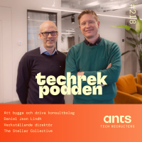 218. Att bygga och driva konsultbolag: Daniels resa