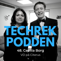 Cecilia Borg, VD på Citerus