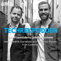 84. Framtidens jobbannonser med Fredrik Hanefalk och Magnus Paues från Cowrite