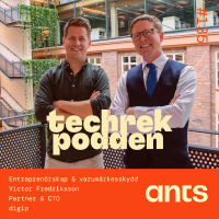 135. Entreprenörskap  varumärkesskydd med Victor Fredriksson, Partner  CTO - digip
