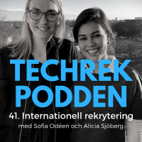 41. Internationell rekrytering