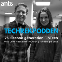 73. Second generation FinTech med Lena Hackelöer - VD och grundare på Brite
