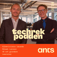 136. Effektivisera lärande med Mikael Larsson, VD och grundare - Learnster