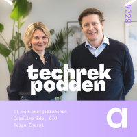 229. Caroline Ede: IT och Energibranchen