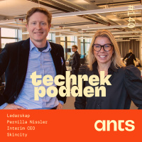 140. Ledarskap med Pernilla Nissler, Interim CEO - Skincity