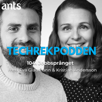 104. Jobbsprånget med Eva Glaumann  Kristian Andersson