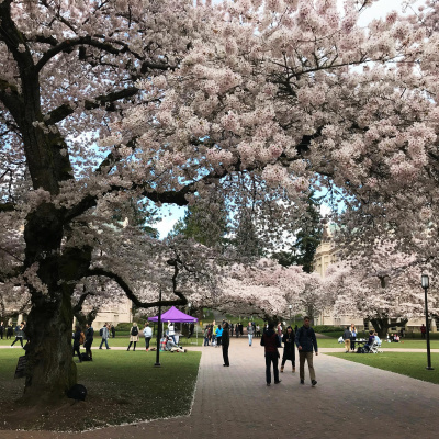 University Of Washington Jackson School Of International Studies