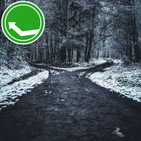 #199: Forks in the Road