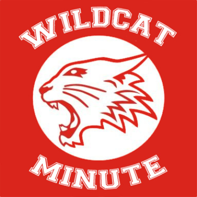 Fantastic Mr. Fox Minute