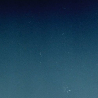 Night At Sea Podcast