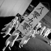 Episode 002: 飞碟唱片歌手拾遗