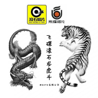 Episode 041: 飞碟滚石龙虎斗