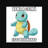 Las hormonas.. ¿te hacen multi-tarea? PARA TRANSICIONAR MEJOR, MÁS RÁPIDO, MÁS FUERTE /Roja, En Vivo