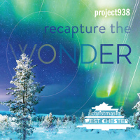 The Wait of Wonder (Matt Silver)