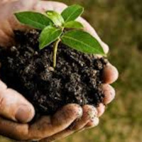 Why Church Planting?
