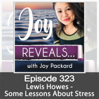 Lewis Howes - Some Lessons About Stress