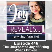 The Unexpected Joy of Fixing Whats Broken