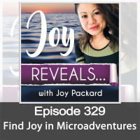 Find Joy in Microadventures