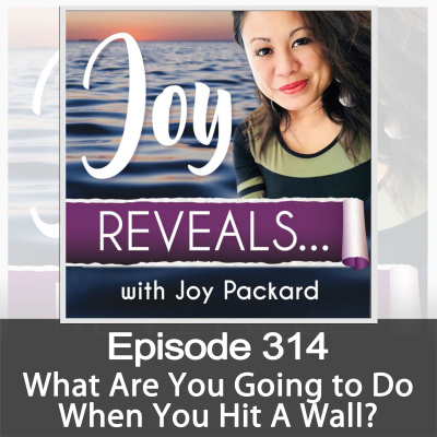 Joy Reveals Podcast